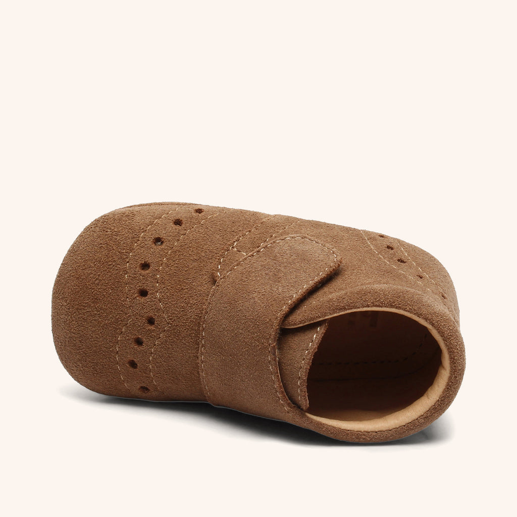bisgaard petit camel