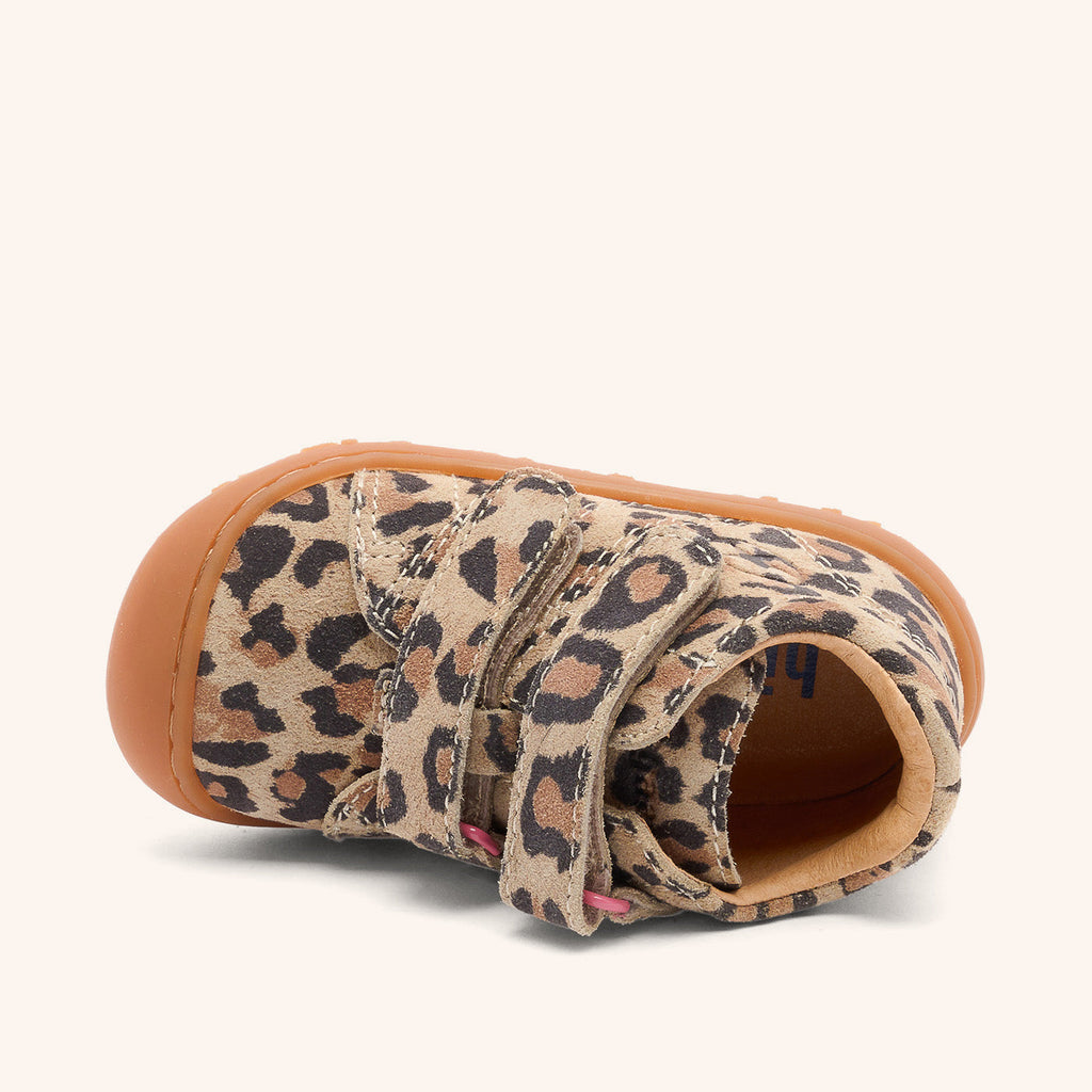 bisgaard hale v leopard