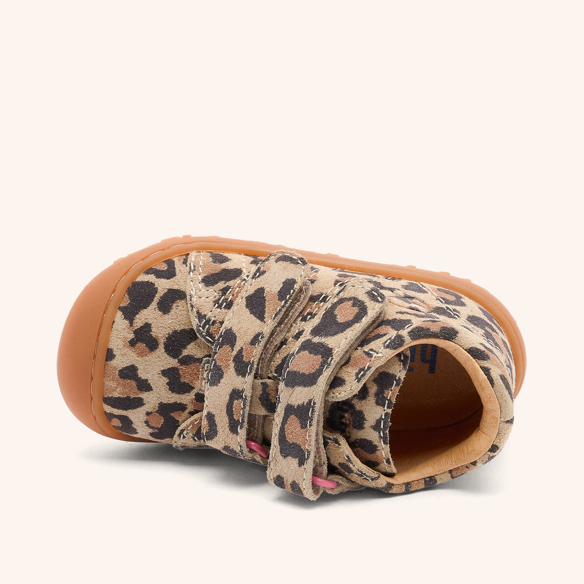 Bisgaard Hale V Leopard