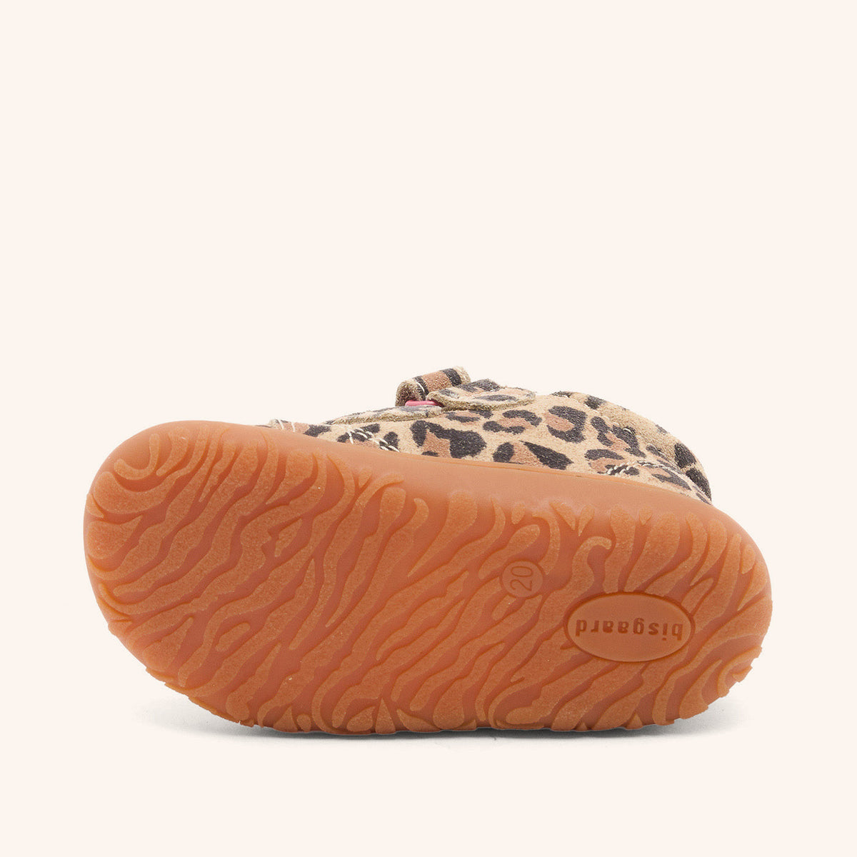 Bisgaard Hale V Leopard