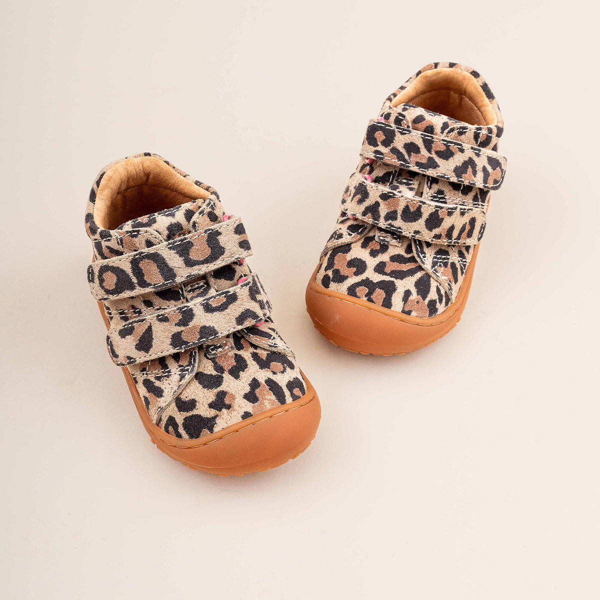 Bisgaard Hale V Leopard