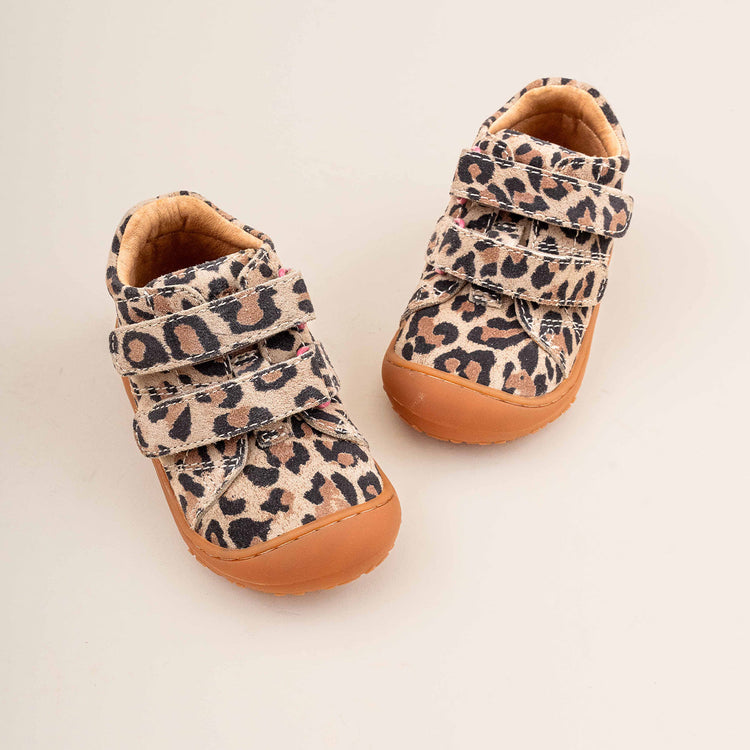 Bisgaard Hale V Leopard