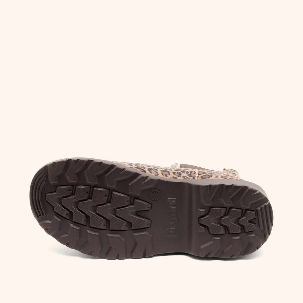bisgaard kim leopard
