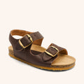 bisgaard alfie dark brown