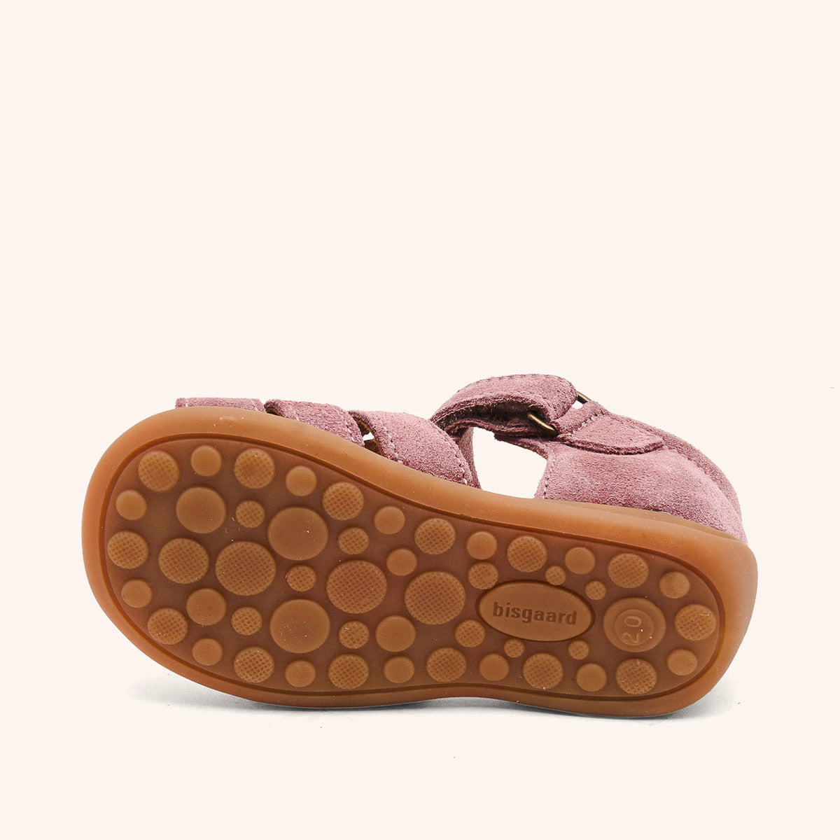 bisgaard carly violet
