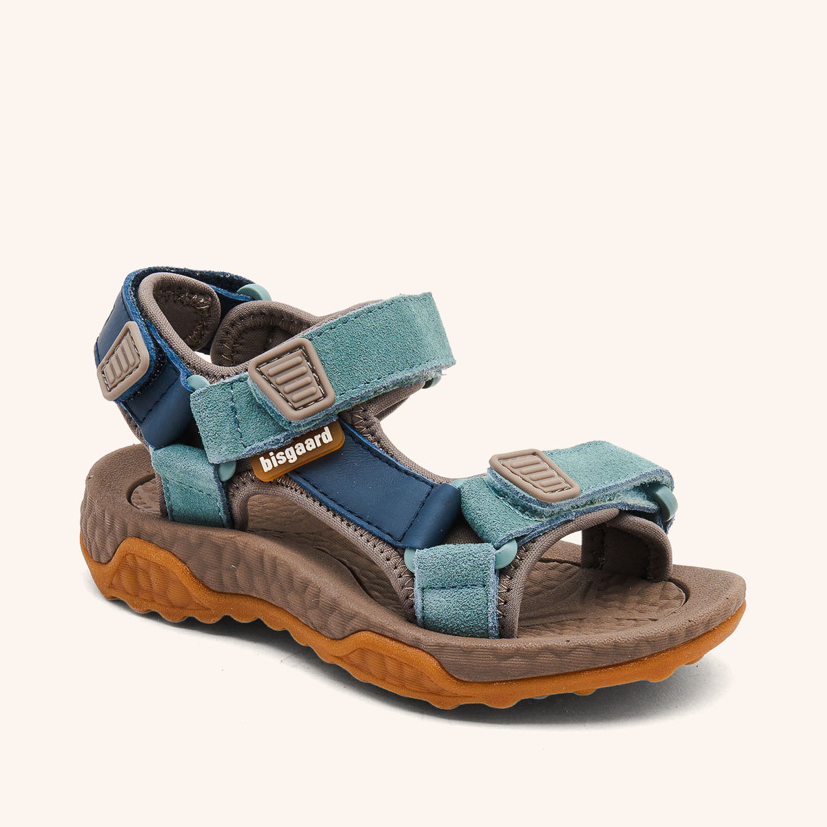 bisgaard raden navy