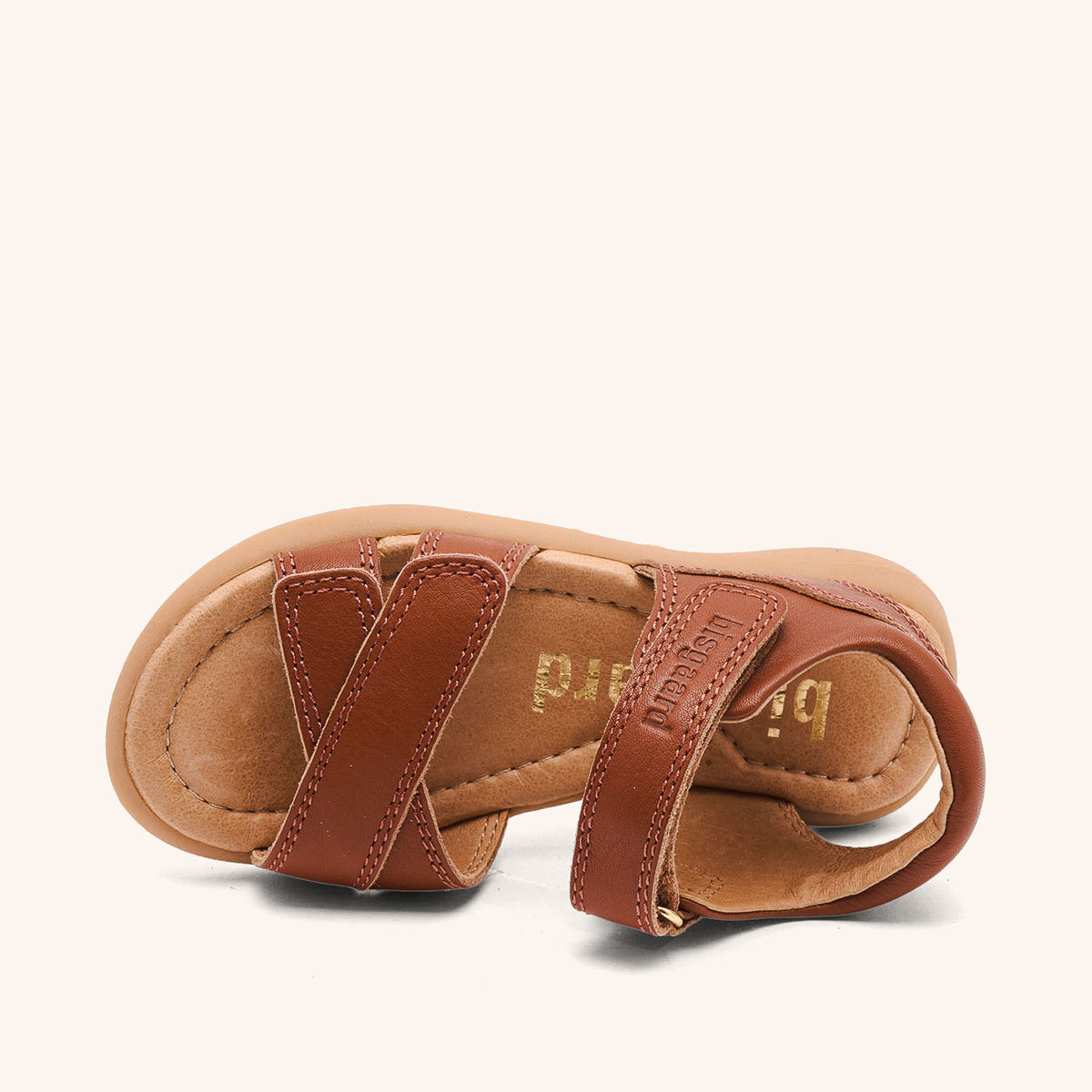 bisgaard sofie cognac
