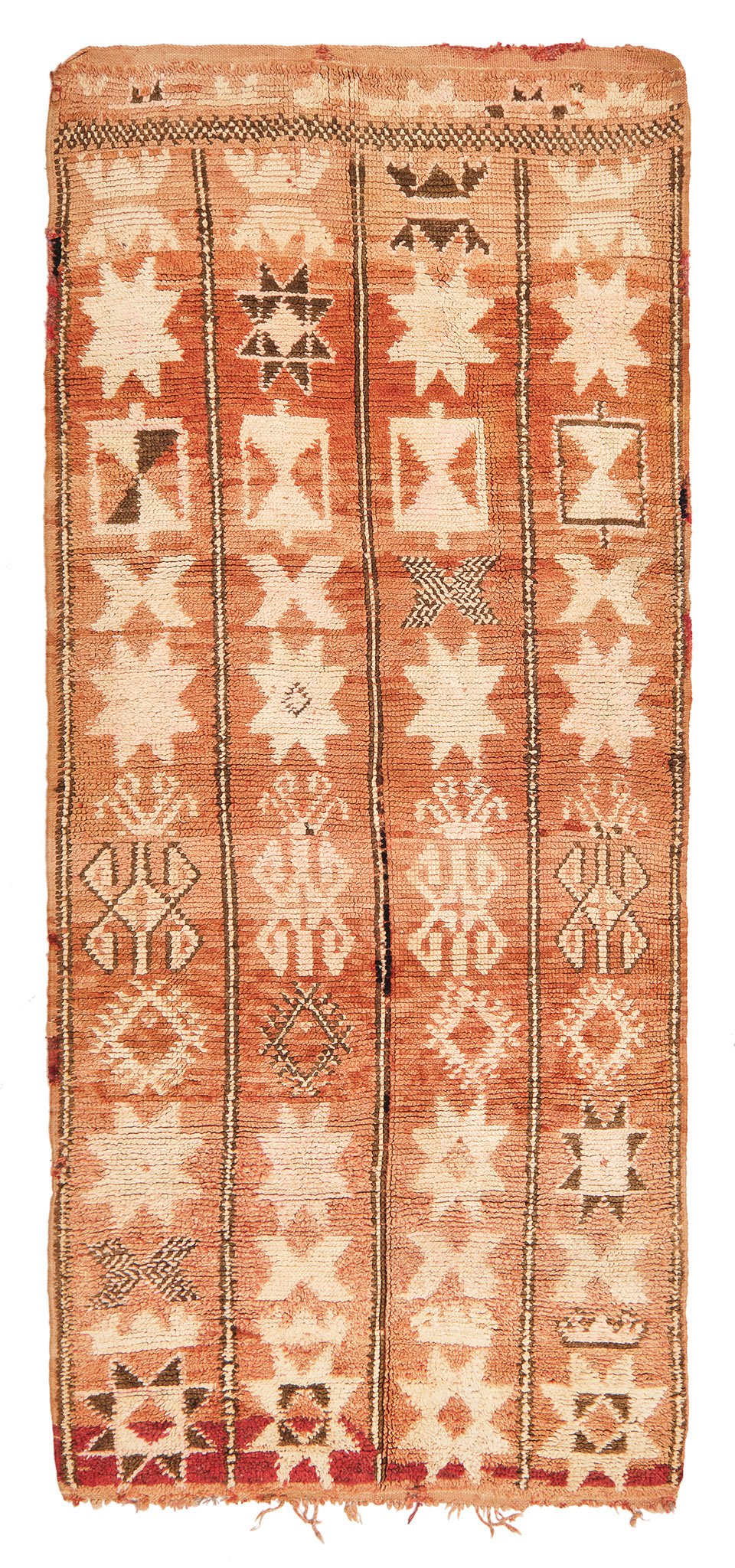 Ratka AFL