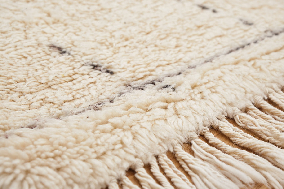 Longhi AFL