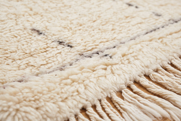 Longhi AFL