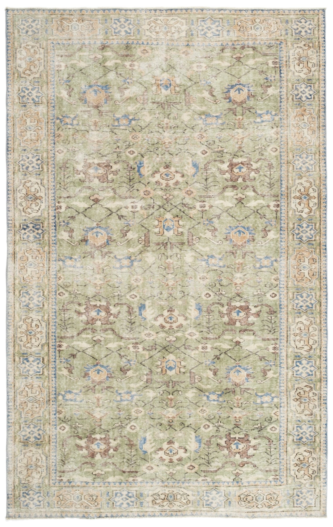 Vintage Distressed Rug Vyra