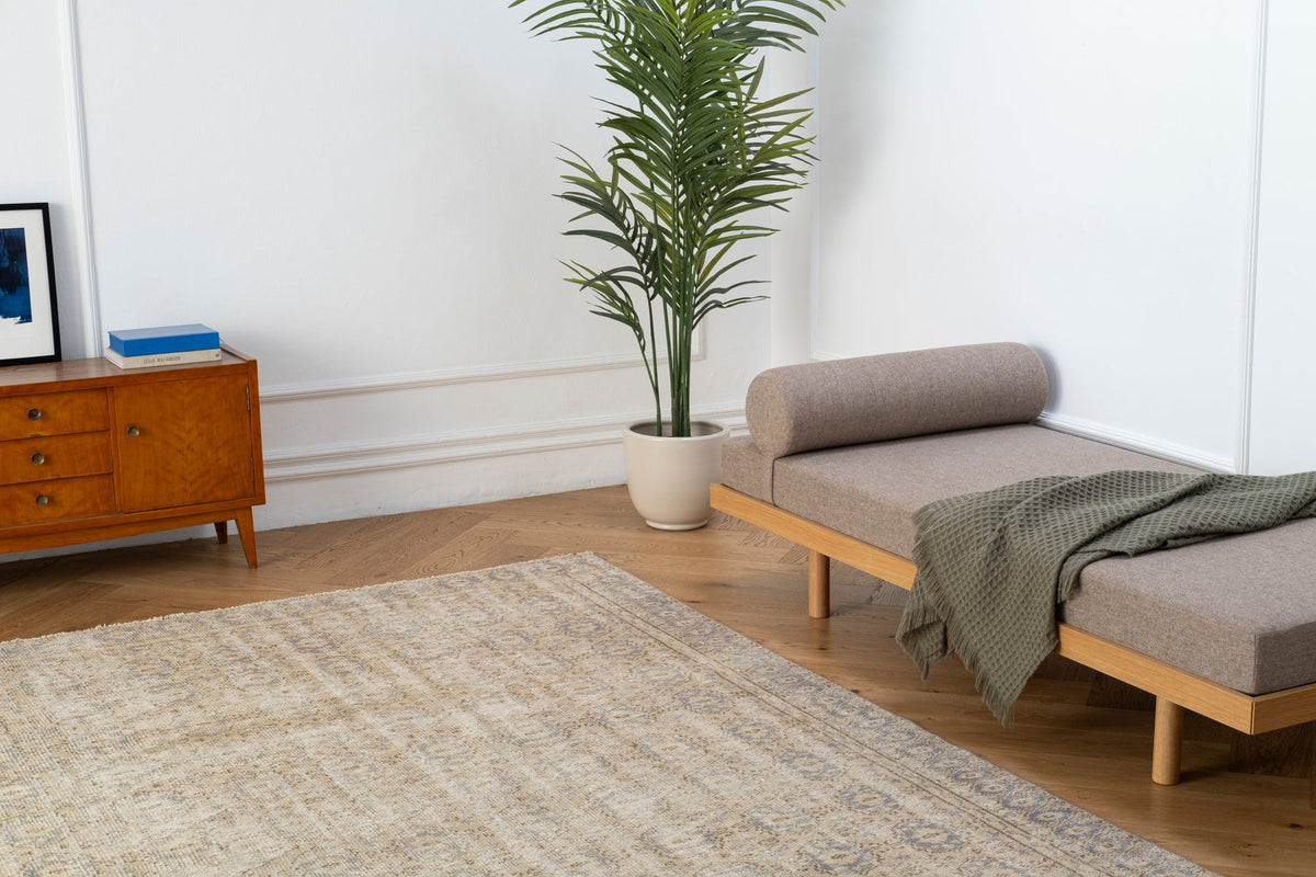 Vintage Distressed Rug Ivlor