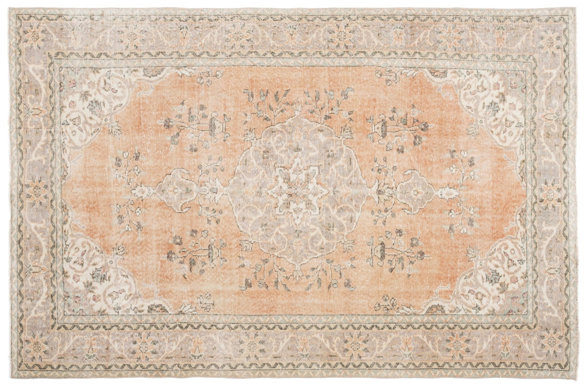 Vintage Distressed Rug Lyvenia