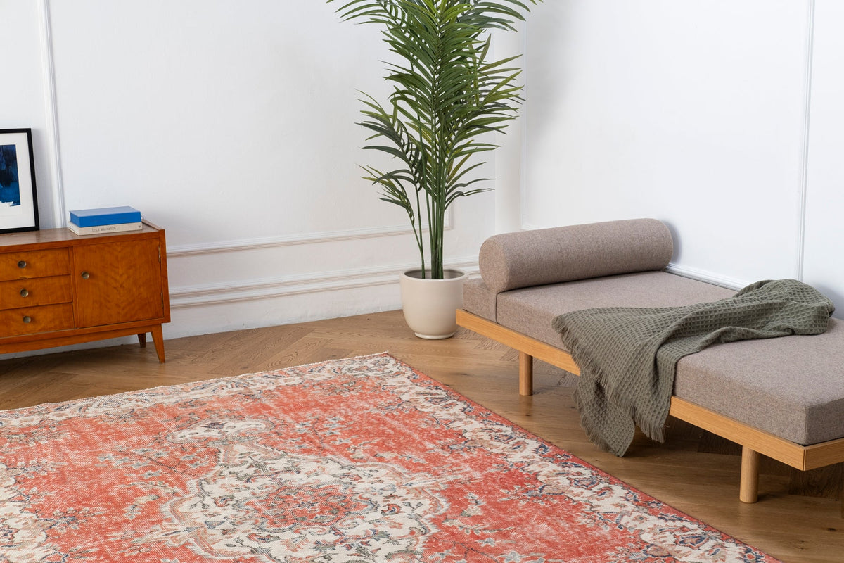 Vintage Distressed Rug Eliona