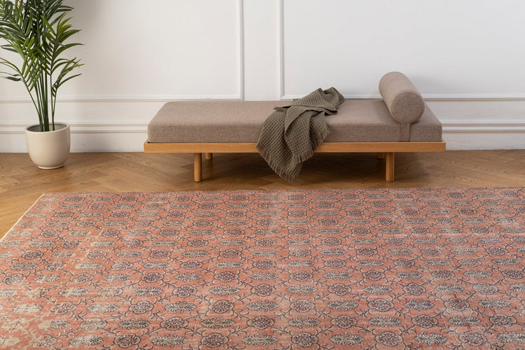Vintage Distressed Rug Jornis