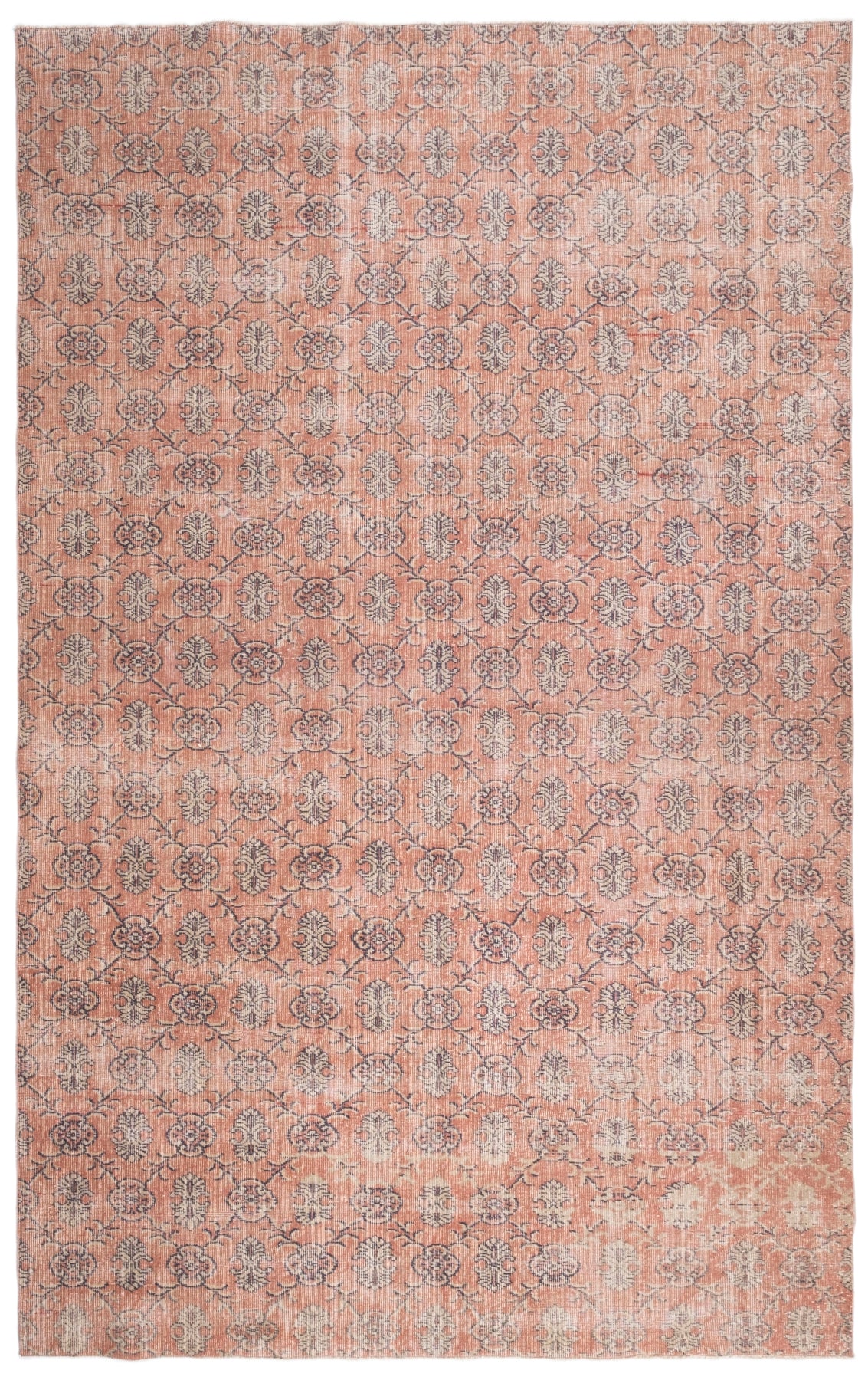 Vintage Distressed Rug Jornis