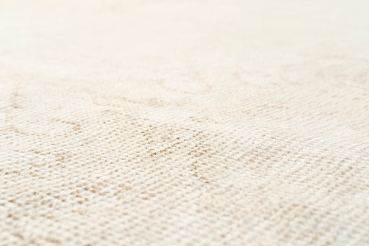Vintage Distressed Rug Eustachius