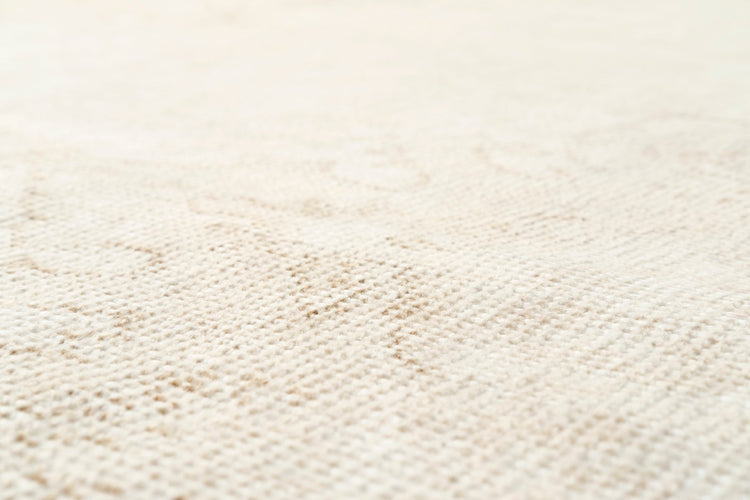 Vintage Distressed Rug Eustachius