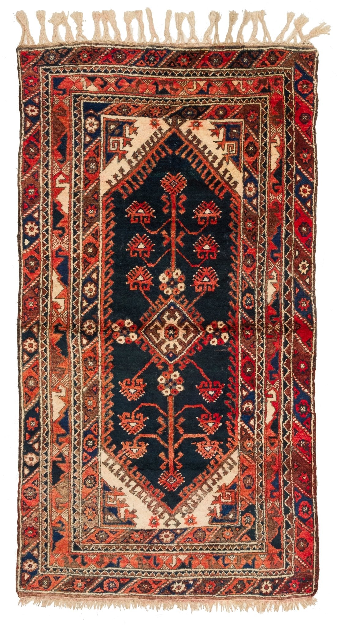 Tziporah CCAN