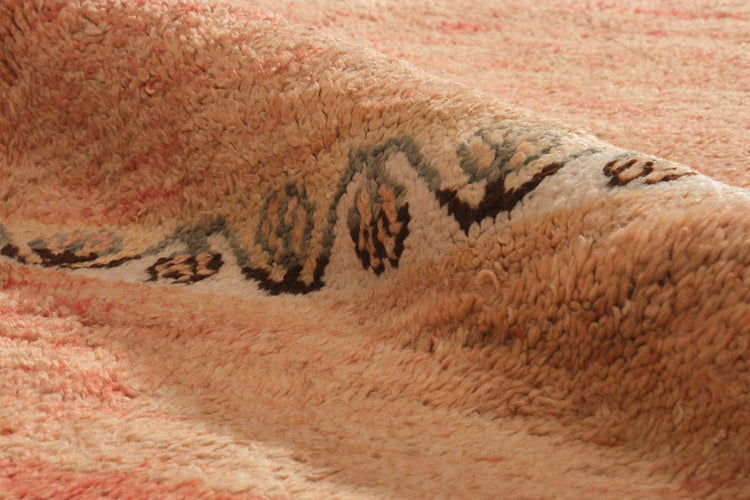 Pompilia CKAM
