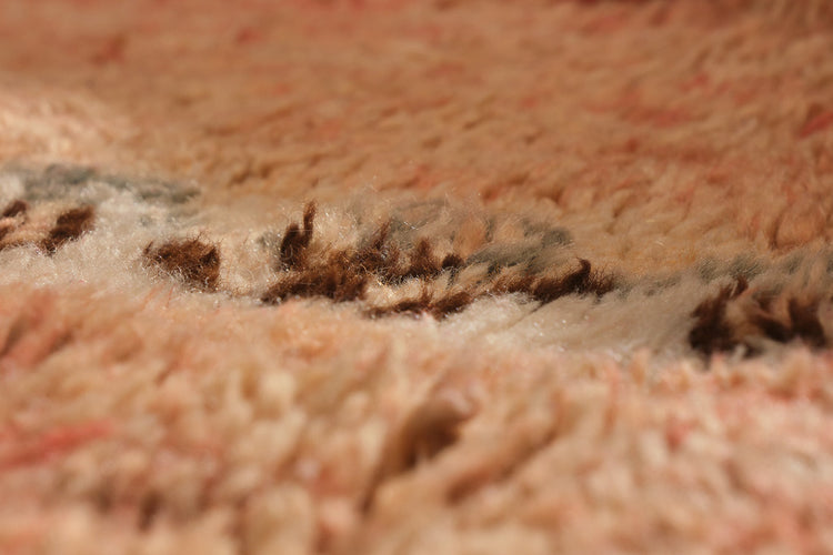 Pompilia CKAM
