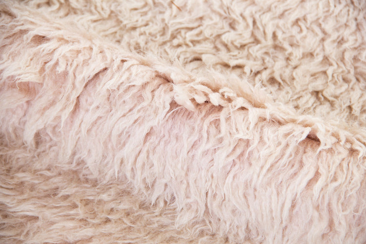 Innocente CSHB