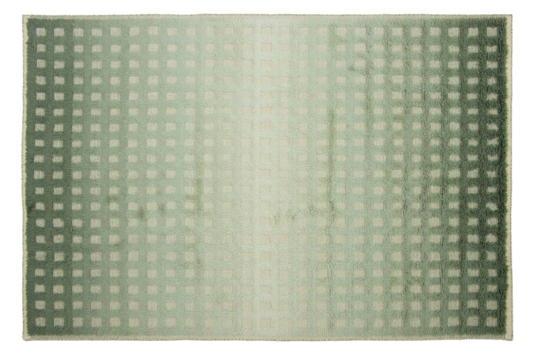 Handknotted Rug Orienn