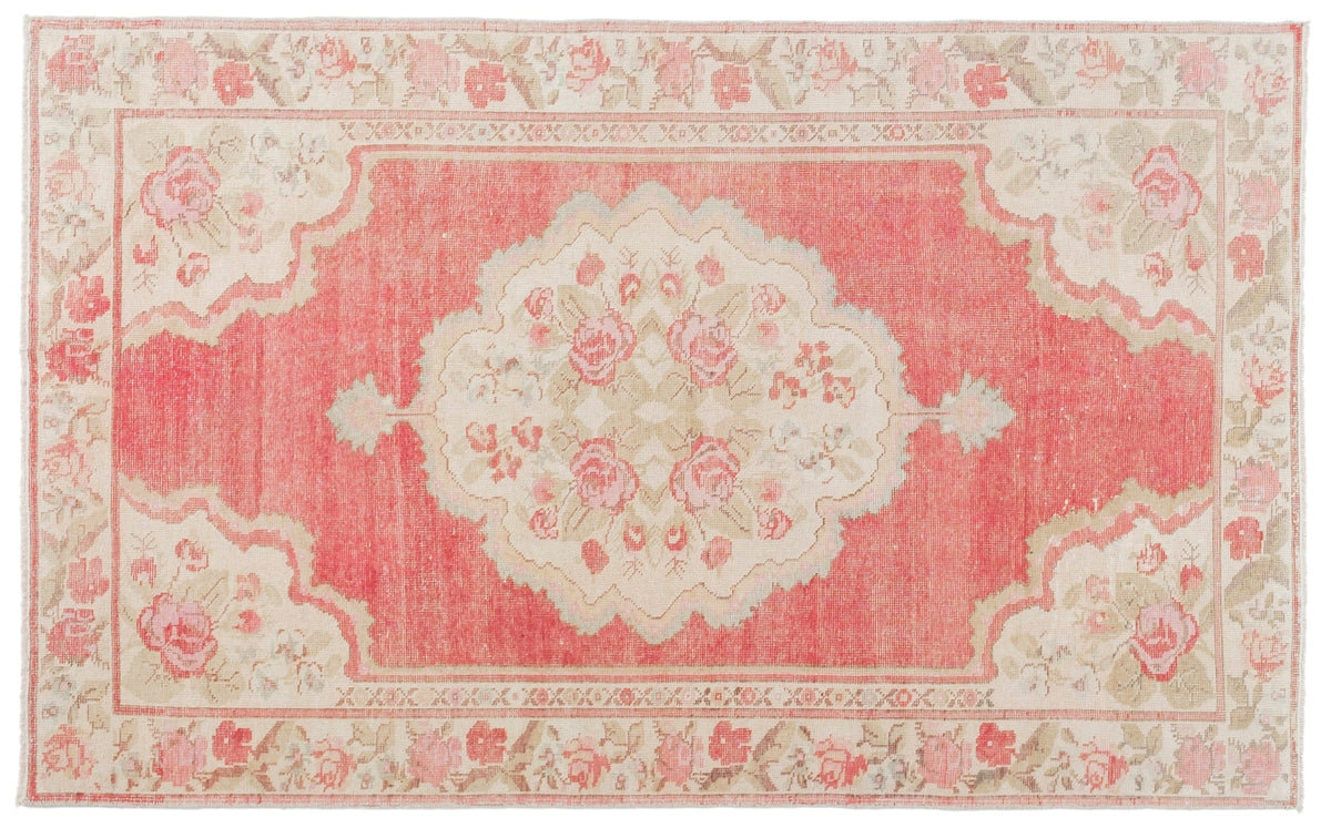 Vintage Distressed Rug Zanirine