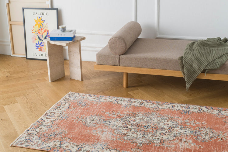 Vintage Distressed Rug Anaxis