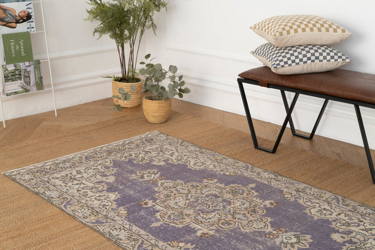 Vintage Distressed Rug Plonie
