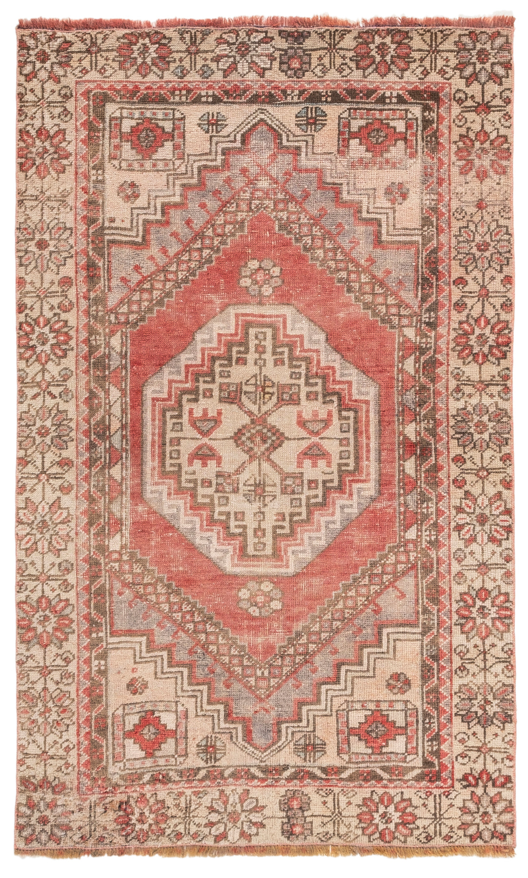 Vintage Distressed Rug Caris