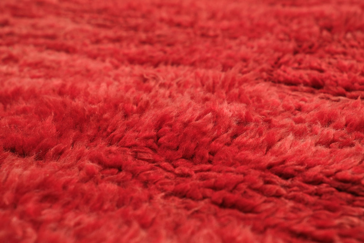Stojadin IBR