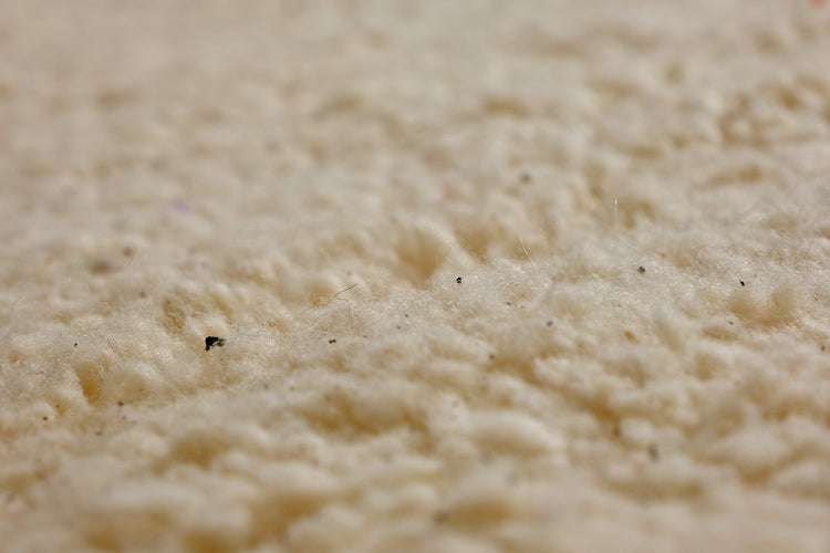 Moroccan Rug Nodar