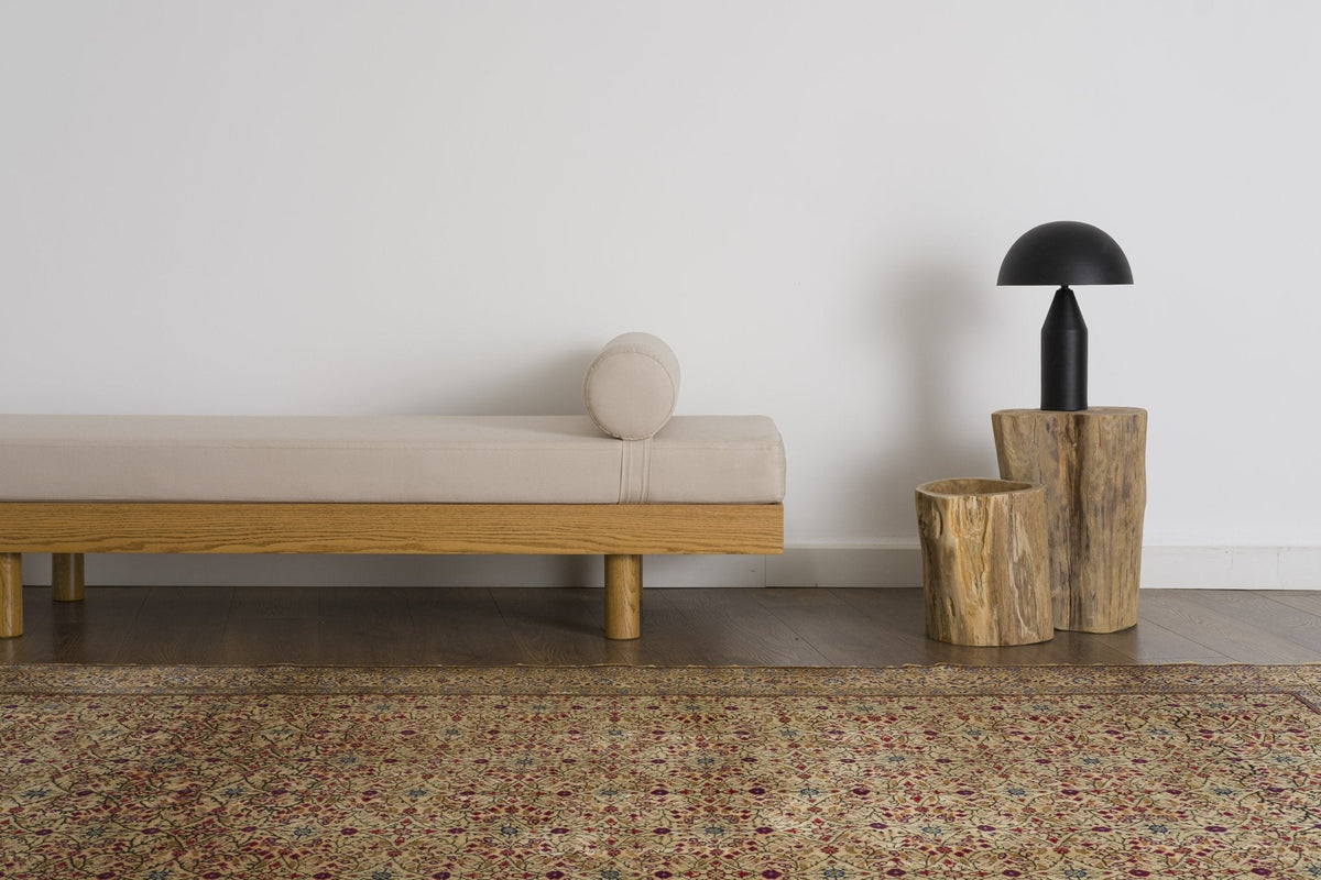Tommasina SDG
