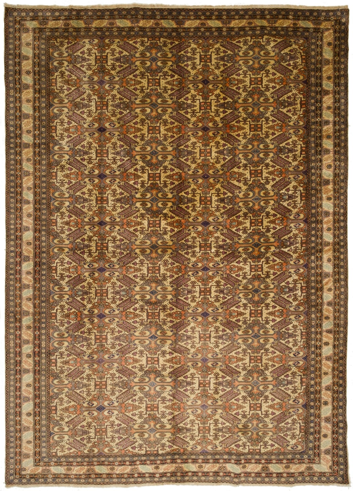 Iliyan SDG