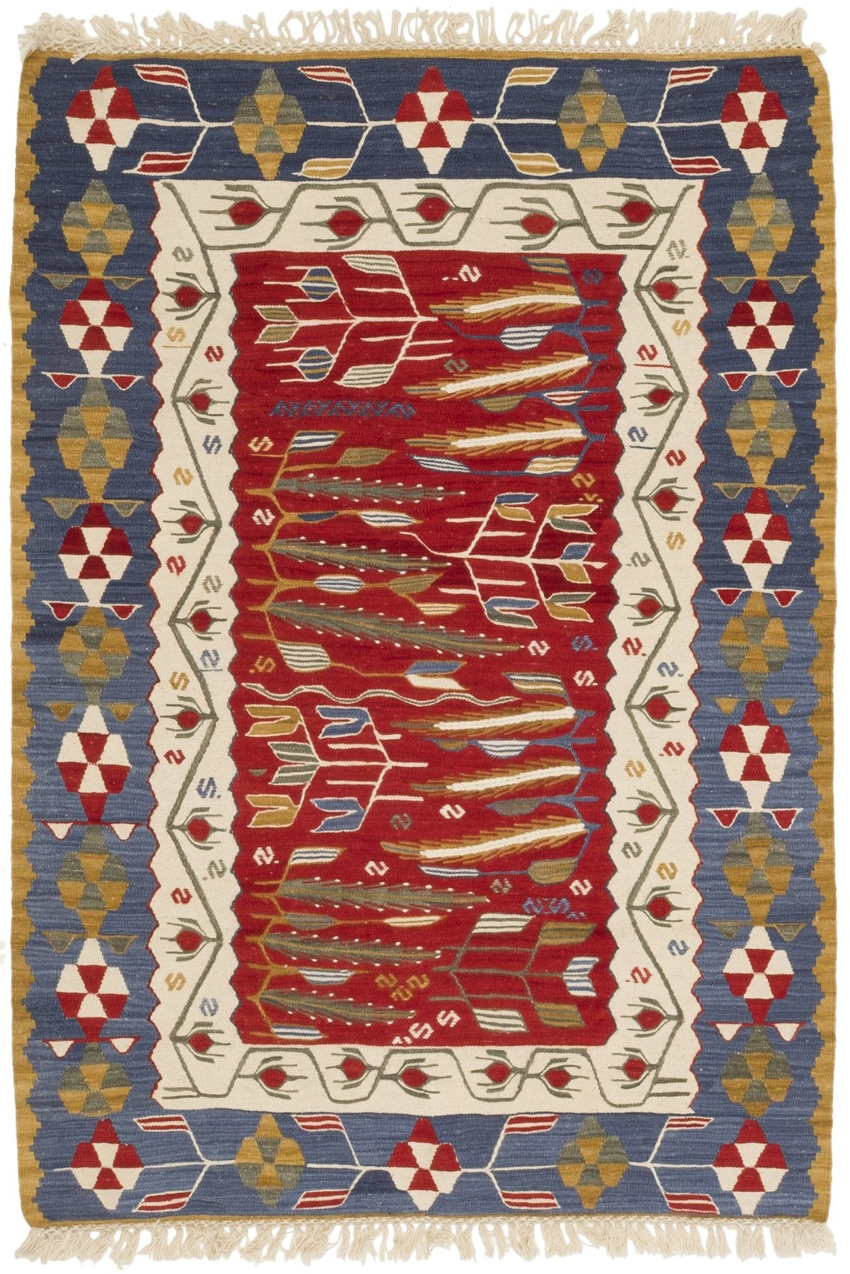Pashije SDG