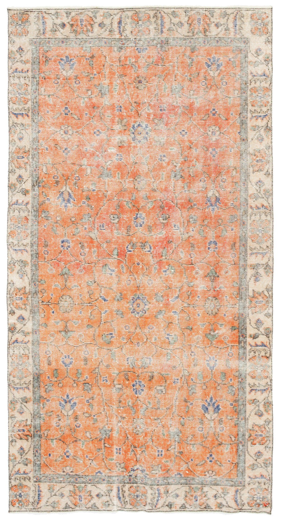 Vintage Distressed Rug Armantas