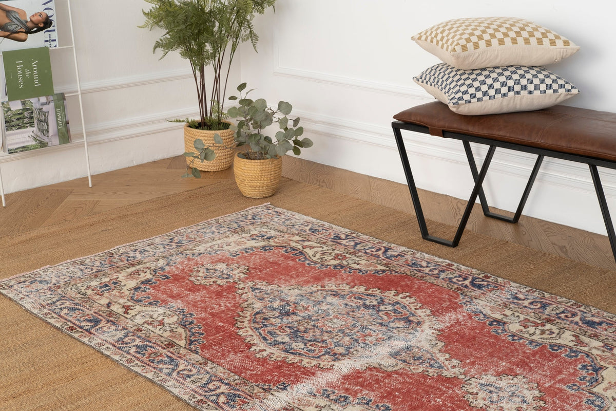 Vintage Distressed Rug Nicanora