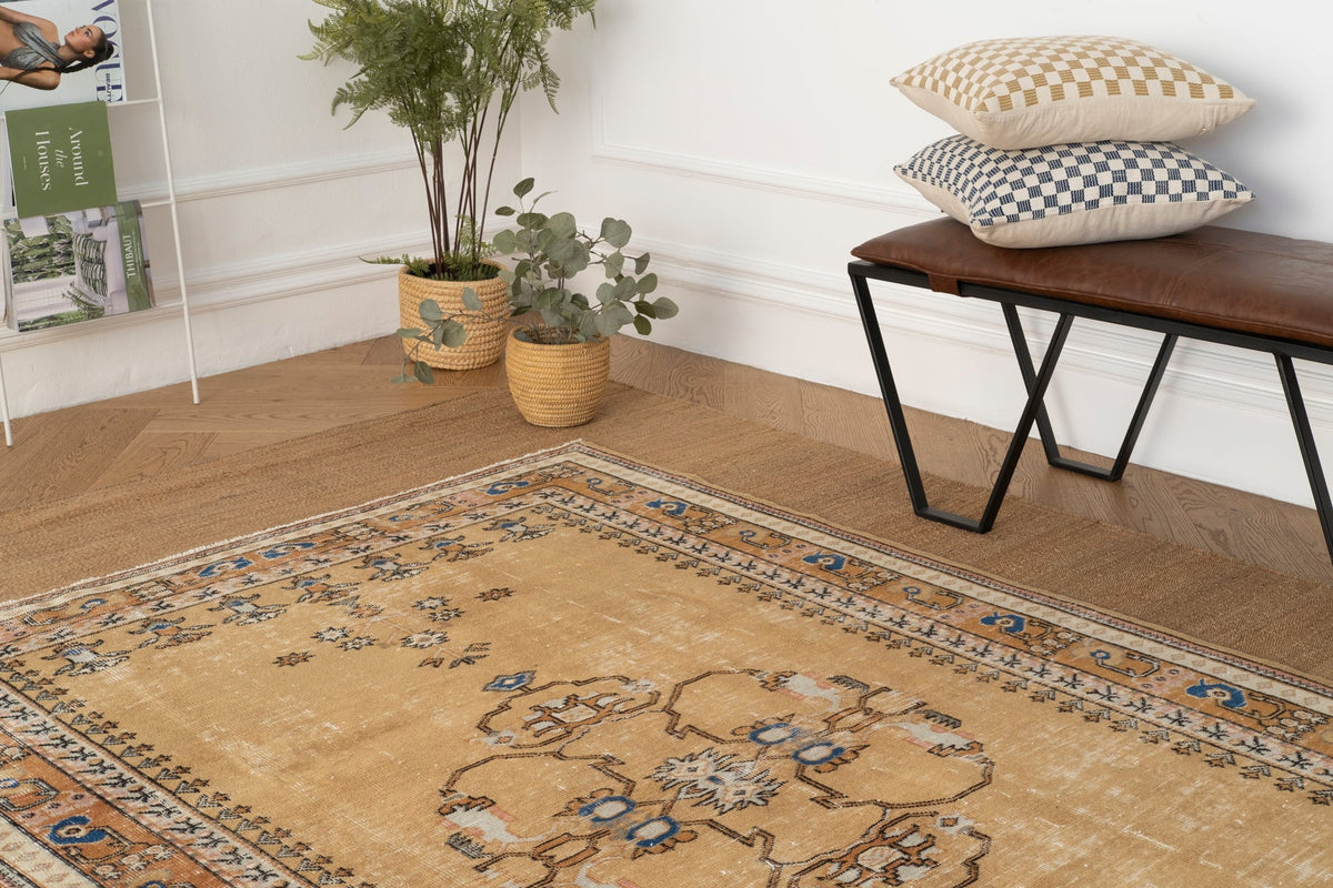 Vintage Distressed Rug Moyna
