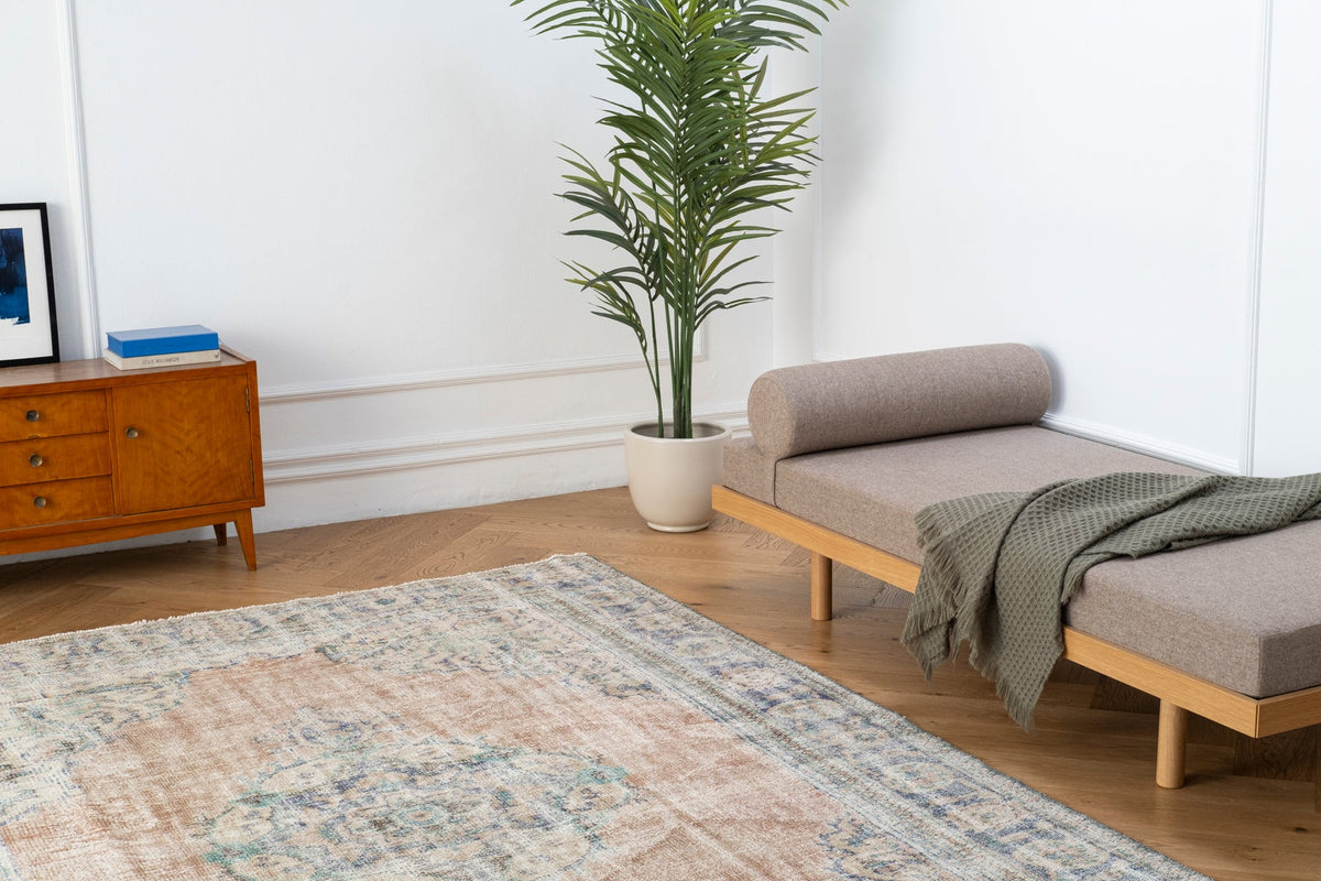 Vintage Distressed Rug Cilron