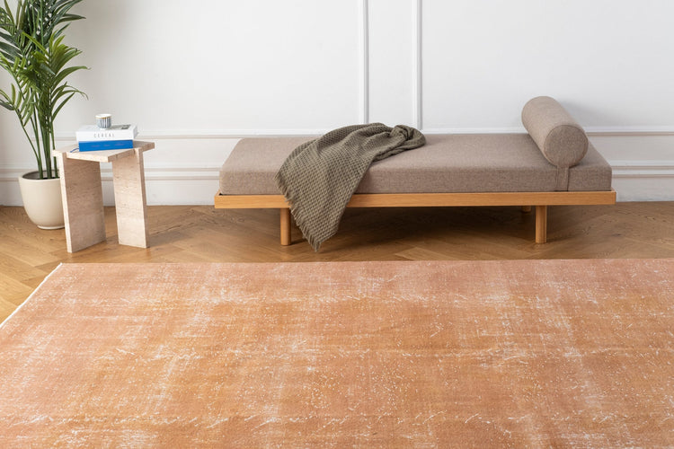 Vintage Distressed Rug Adena