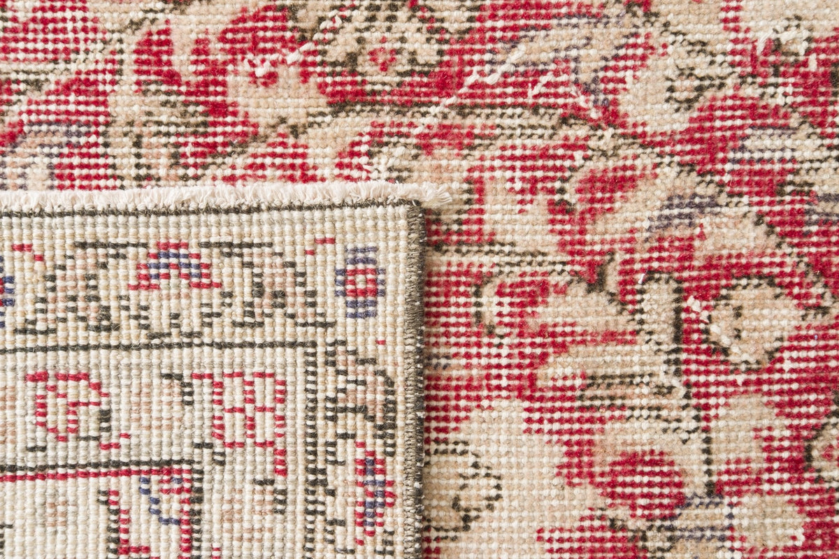 Dierdre THR
