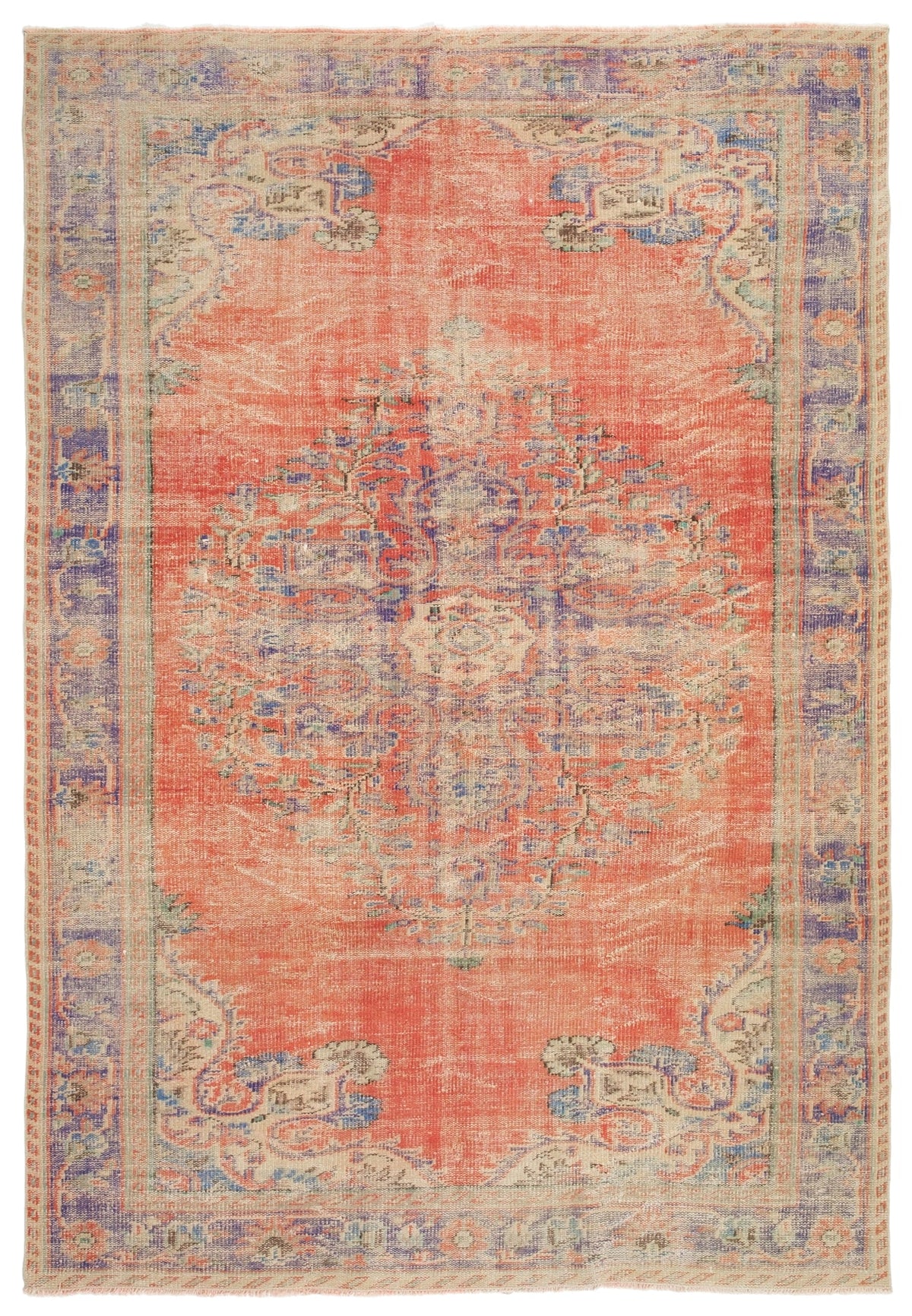 Vintage Distressed Rug Marten