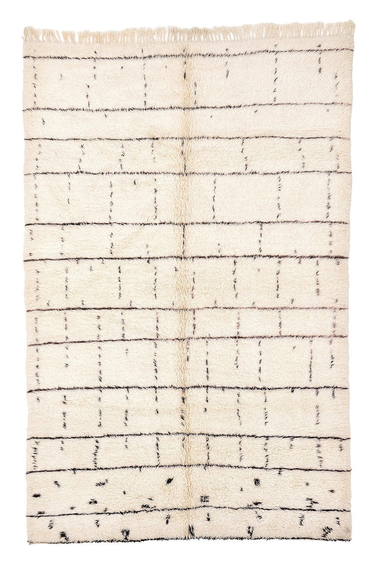 Longhi AFL