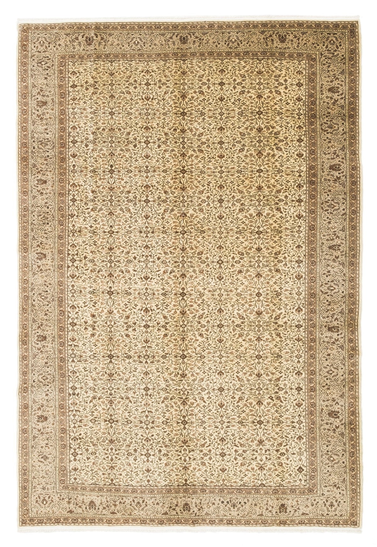 Sabaheta CAN