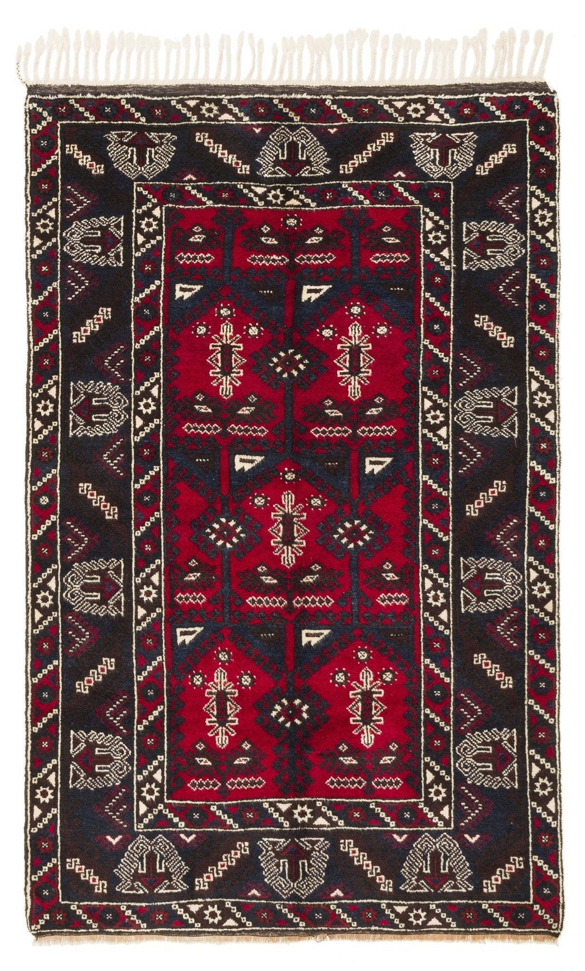 Dafnoula CAN