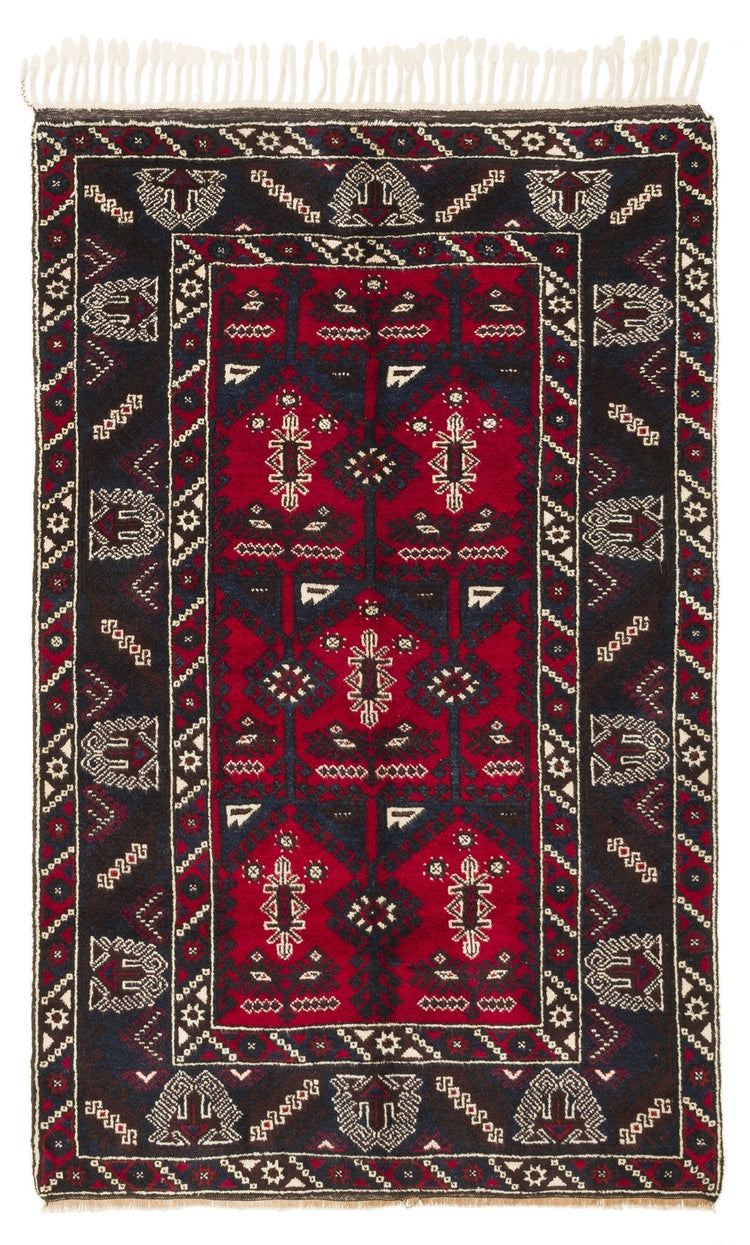 Dafnoula CAN